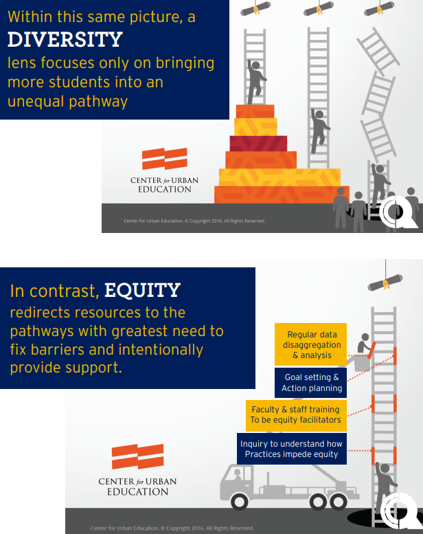 infographic about diversity