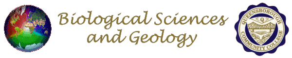 Department of Biological Sciences and Geology Roland Scal