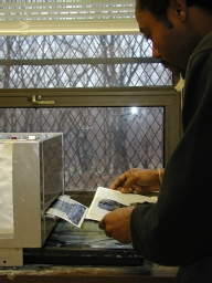 student working
