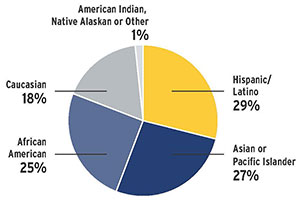 ethnicity pie chart