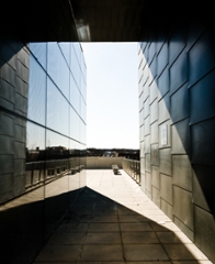 campus image outside the Kupferberg Holocaust Center