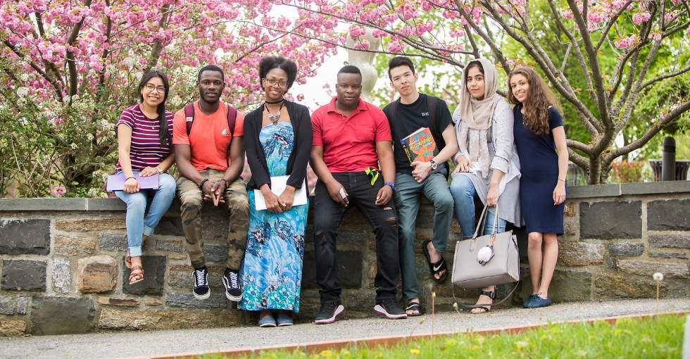diverse group of qcc students sitting under cherry blossom tree