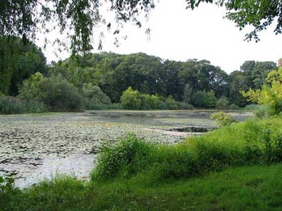 Oakland lake