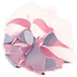 Decorative image of cherry blossom