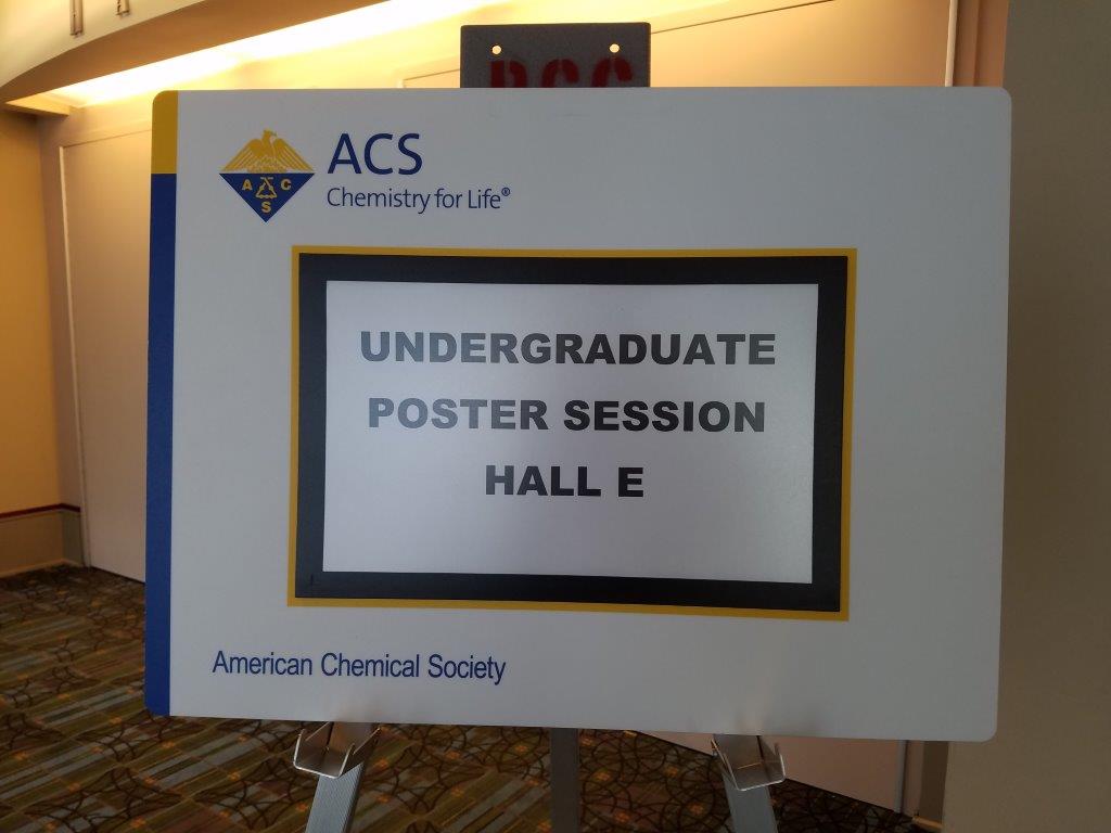 The 252nd ACS National Meeting 3