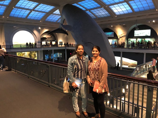 STEP-AMNH-10-E&M-Whale