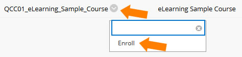 eLearningSampleCourse