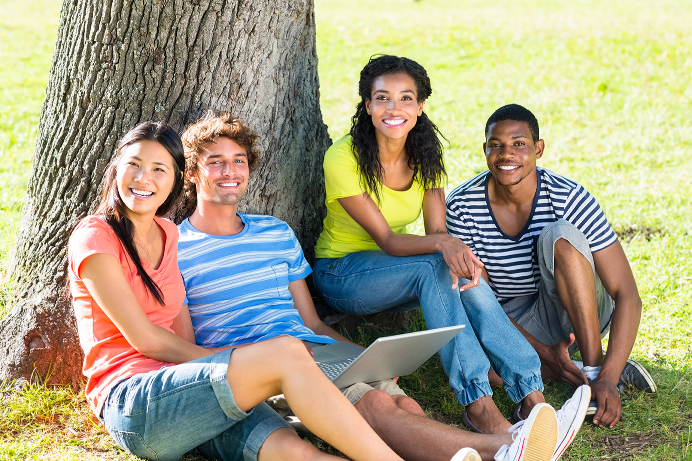 students sitting by tree