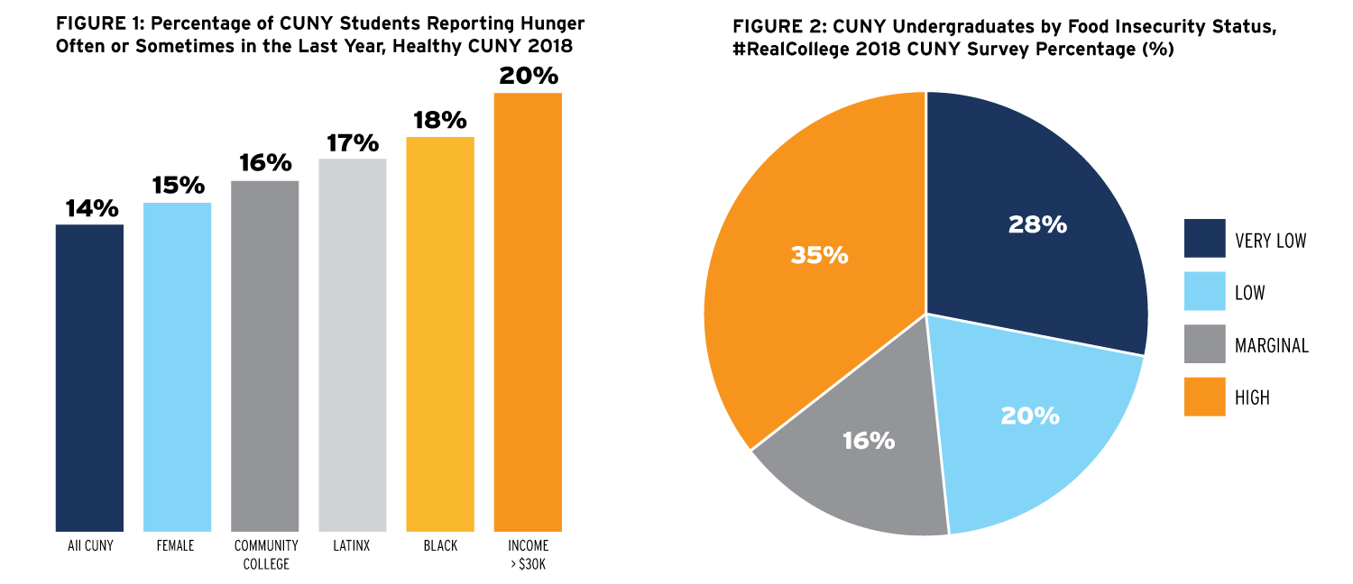 Slide 8 from the CUNY HOPE: State of Food Insecurity at CUNY in 2020 webinar