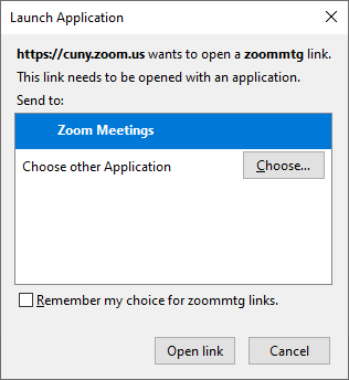 Zoom Launch Application window
