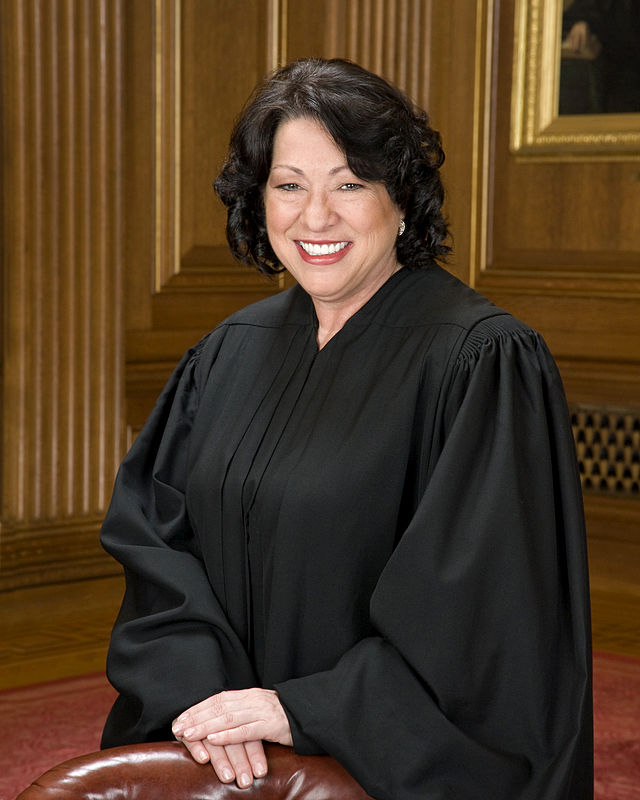 Portrait of Sonia Maria Sotomayor