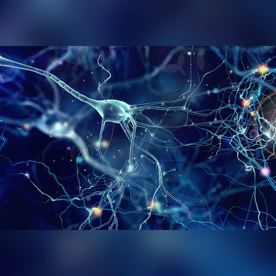 Photo of Brain Synapses