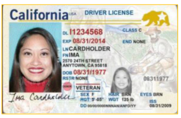 NLN Driver License Image