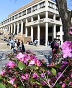 the Kurt R Schmeller Library building through the flowers