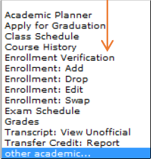 other academics drop down selection menu