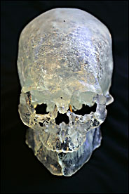 Kennewick man skull recreation 3 d version