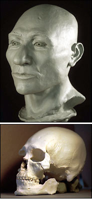 Kennewick man skull 