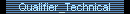 Qualifier_Technical