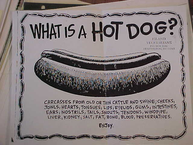 a hot dog