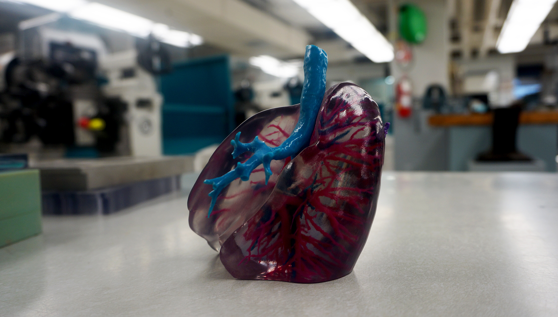 3D printed heart