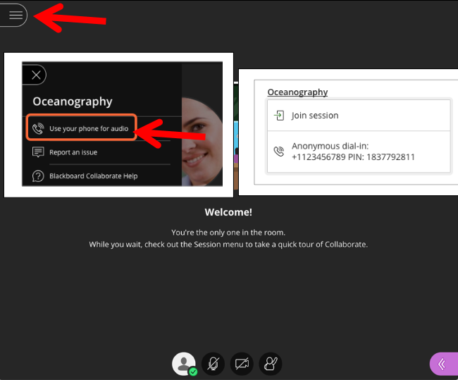 Blackboard Collaborate phone/audio access