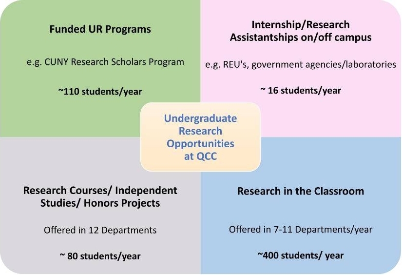 undergraduate level research opportunities